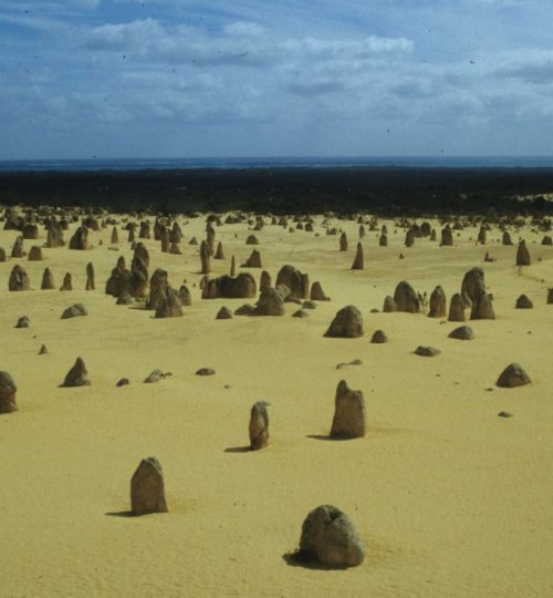 AUS-WA-Pinnacles