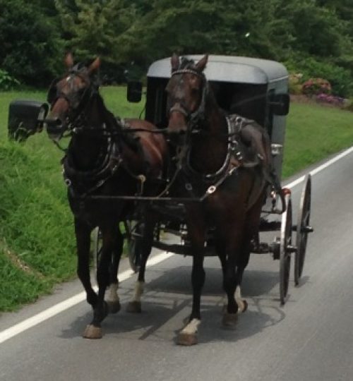Amish