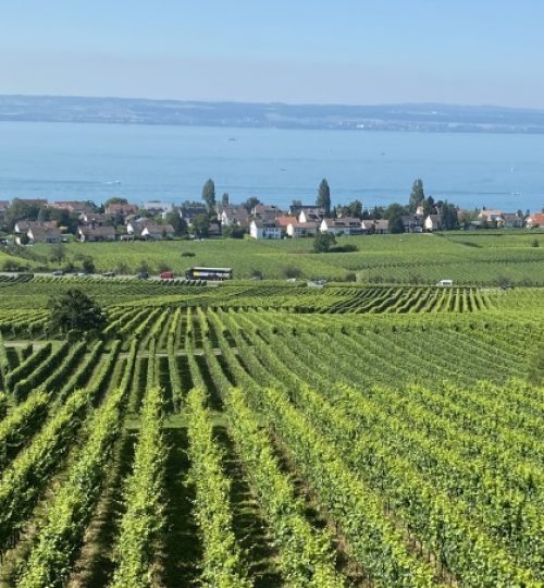 DE_Bodensee.jpg