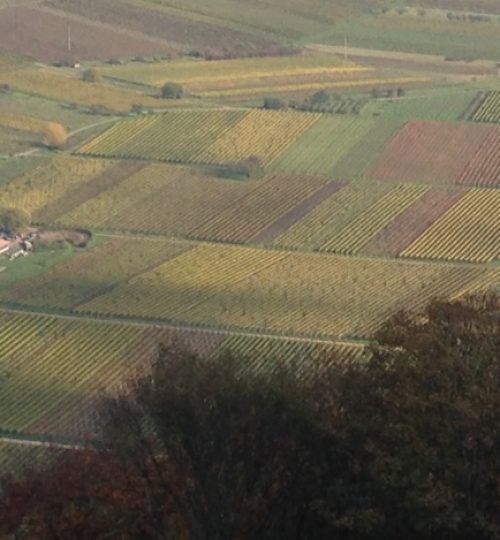Herbststimmung.jpg